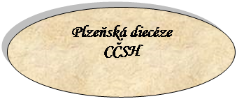 Ovál: Plzeňská diecéze
CČSH

